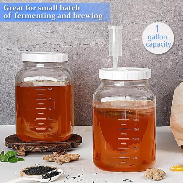 Fermentation Jar - Image 2